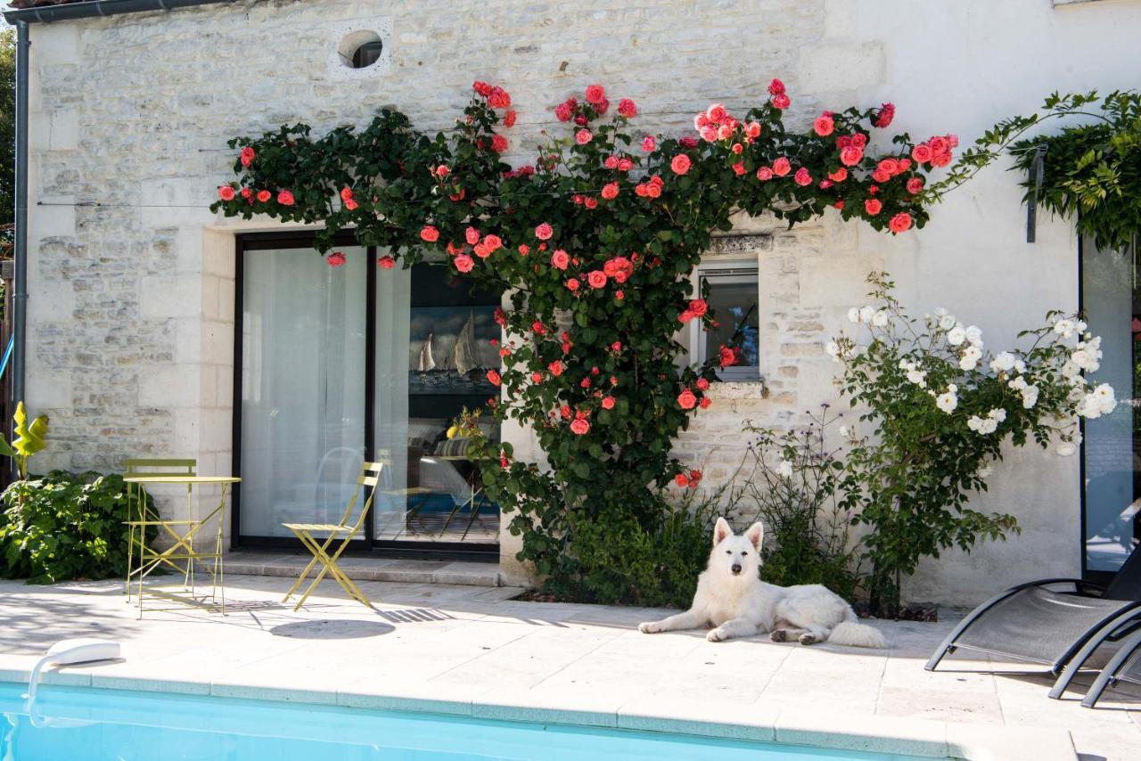 Le Logis De La Brumanderie - Saintes Fontcouverte  Ngoại thất bức ảnh