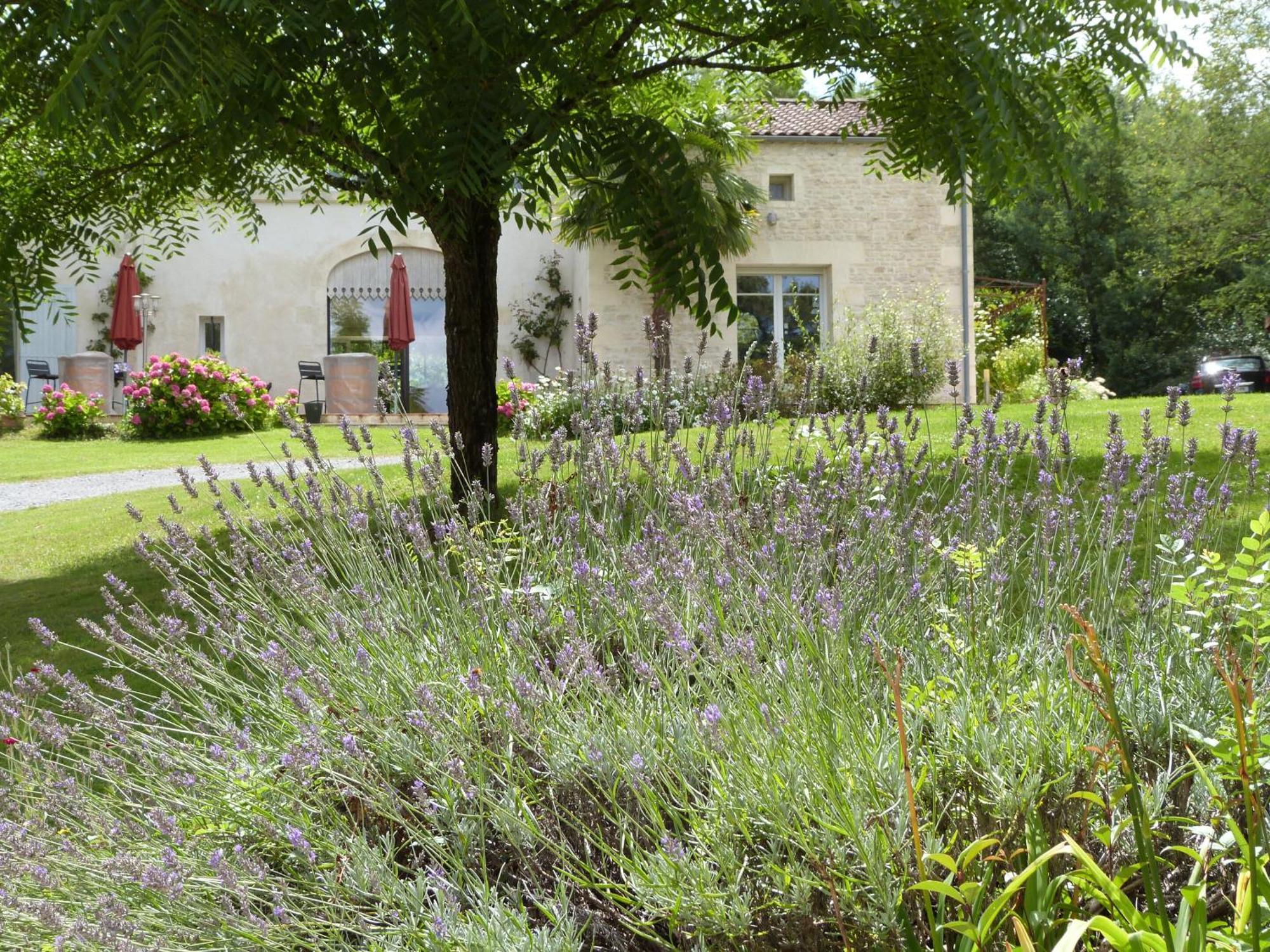 Le Logis De La Brumanderie - Saintes Fontcouverte  Ngoại thất bức ảnh